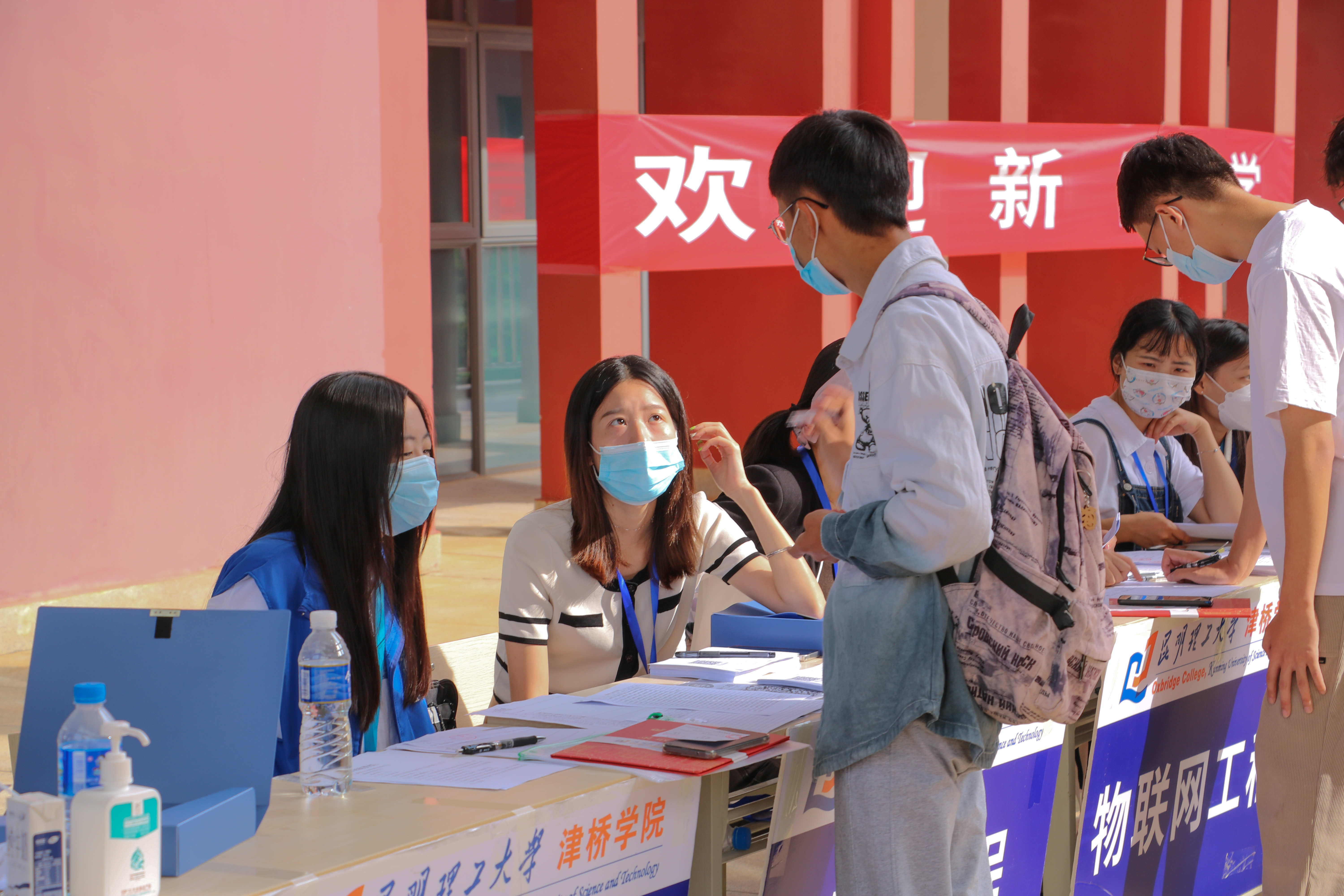 图十五